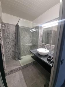 グレウー・レ・バンにあるLes Bains de Provence T2 à 150 m des thermes et Gorges du Verdonの洗面台とシャワー付きのバスルーム +6枚の写真