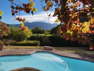 a swimming pool in a yard with mountains in the background at Le Petit Vignoble in Cape Town