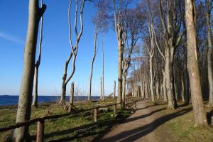 Bungalow Möwe im Ostseeidyll am Waldrand في أوستسيباد نينهاجن: مسار عبر الغابة بجوار الماء +4 صور