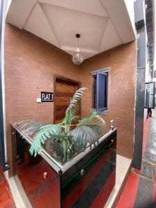 un banco en un edificio con plantas encima en Residence 22, en Mama