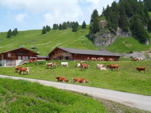 a herd of cows in a field next to a barn at Chalet La Marmotte 1800m in Ollon