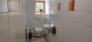 um banheiro com pia e vaso sanitário em Appartement Carl em Seefeld in Tirol mais 26 fotografias