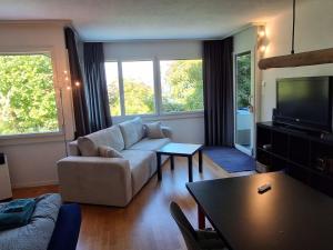 a living room with a couch and a tv at Apartment Chilis Ferienresidenz by Interhome in Aeschi