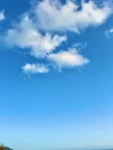 deux cerfs-volants volant dans un ciel bleu avec des nuages dans l'établissement Wayra Glider Norma Centro, à Norma