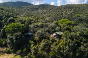 an aerial view of a house in the middle of a forest at Casette nel Parco in Portoferraio