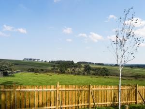 Naturlandskabet i nærheden af feriehuset