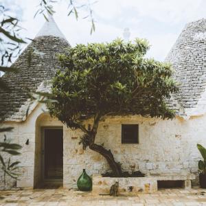 Fotografie z fotogalerie ubytování TRULIVO v destinaci Monopoli