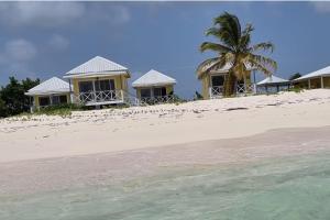 a row of houses on a beach with a palm tree at Captivating 1-Bed Cottage in Codrington in Dulcina