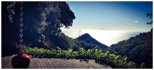 Příroda nedaleko prázdninového domu + 24 fotografií