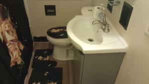 a bathroom with a sink and a toilet at GA home in Milwaukee +6 photos