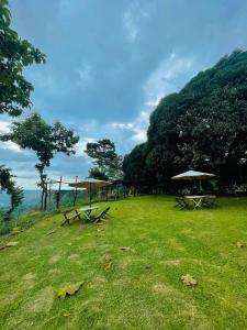 dos mesas de picnic con sombrillas en un campo de hierba en Thrill Playgrounds & Tipi Cafe, en Libona