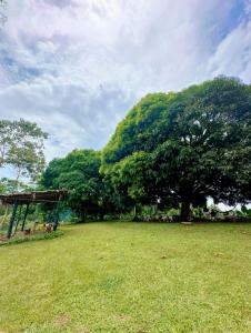 un campo con un árbol grande y un mirador en Thrill Playgrounds & Tipi Cafe, en Libona