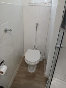 a small bathroom with a toilet and a shower at Nuri Studio in Augsburg