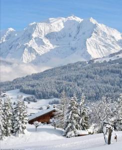 a cabin in the snow with a snow covered mountain at Chalet neuf La Marmotière - Vue sur la Montagne in Combloux