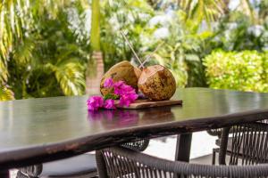 Un jardín fuera de Pal'i Koko, modern appartement 5 min vanaf Mambo