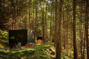 a shed in the middle of a forest at Postcard Cabins Big Bear, Outdoor Collection by Marriott Bonvoy in Running Springs +29 photos