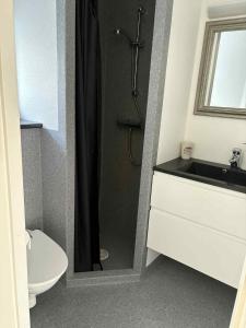 a bathroom with a shower with a toilet and a sink at Midbrekkan apartment in Tvøroyri
