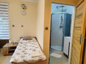 a bedroom with a bed and a shower and a table at Noclegi Centrum in Jelenia Góra +42 photos