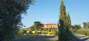 a house in the middle of a yard with trees at Il Giogo Agriturismo in Rosignano Marittimo