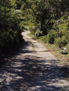 a dirt road with trees on both sides of it at Guesthouse Eleftherios in Kalavrita +47 photos