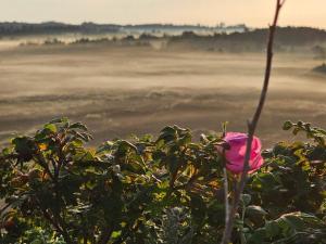 Φυσικό τοπίο κοντά σε αυτή η παραθεριστική κατοικία