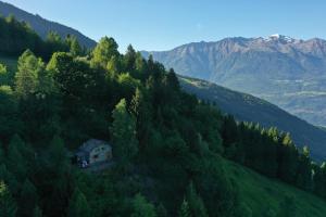 a house on the side of a hill with trees at Baita relax nel bosco in Rasura