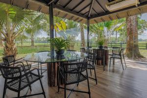 Aed väljaspool majutusasutust Experiência na Fazenda dos sonhos a 30 km de Belém