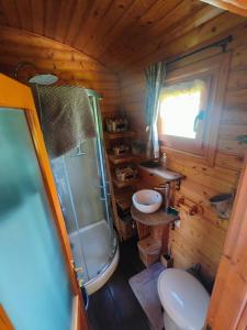 ein Badezimmer mit Dusche, Toilette und Waschbecken in der Unterkunft Edelweiss - Reves Douillets in Gèdre