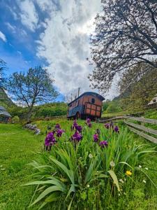 Ein Bus parkt auf einem Feld mit lila Blumen in der Unterkunft Gentiane - Le Nid Nomade in Gèdre