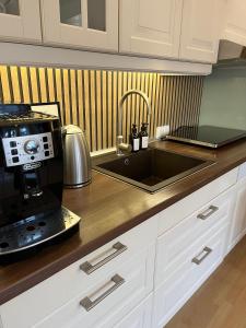 レーアにあるFerienwohnung Altstadt Perle_ 15164のキッチン(シンク、電子レンジ付)