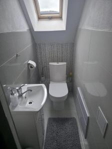 a small bathroom with a toilet and a sink at Ubytovanie Otília in Zuberec +16 photos