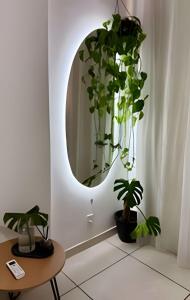 a mirror in a room with two plants and a table at Studio 2 min Copacabana beach in Rio de Janeiro