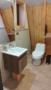 a bathroom with a sink and a toilet at Tiny Home El descanso del Pescador in Puerto Cisnes