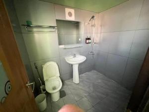 a bathroom with a toilet and a sink at 星雲谷 in T'ung-ko