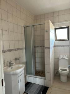 a bathroom with a shower and a sink and a toilet at MicasaKollections - Villa Ndahafa in Ongwediva +7 photos