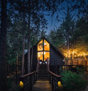 Pine CoveにあるThe Dusk House - An Idyllwild A-Frameの夜の森の小屋