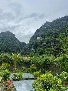 Φυσικό τοπίο κοντά σε αυτό το ξενοδοχείο