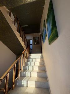 ティラナにあるolken shahollariのギャラリーの写真