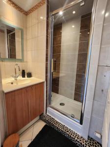 a bathroom with a shower and a sink at T3 Le logis de Martin - city center - near Ducale Place with parking space in Charleville-Mézières +16 photos