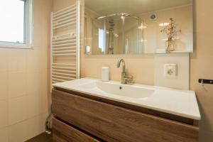 a bathroom with a sink and a mirror at Drents Genieten - Goudheide met privé jacuzzi & sauna in Erm +6 photos