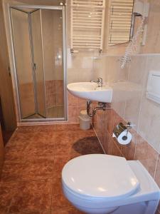 a bathroom with a toilet and a sink at Gasthaus Wolfsschlucht in Herzberg