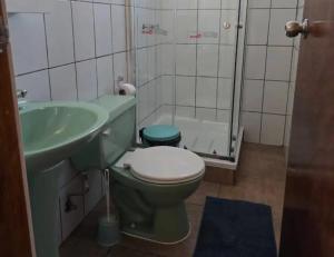 a bathroom with a green toilet and a sink at Hospedaje violetta in Pichilemu