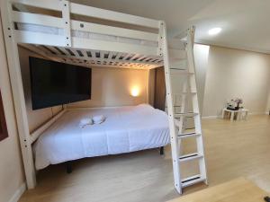 1 dormitorio con litera y TV en Estudio Céntrico A4, en Oviedo