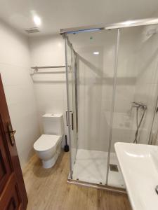 Un baño con ducha, inodoro y lavabo. en Estudio Céntrico A4, en Oviedo