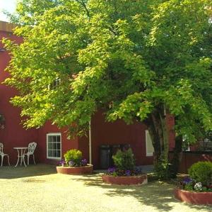 Zahrada ubytování Selfoss Hostel