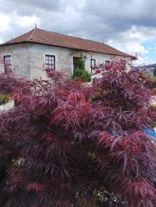 a house with a red plant in front of it at 3HOUSE Sol na Eira in Rebordosa