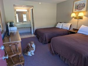 a dog sitting in a hotel room with two beds at Coach Stop Inn in Gaines