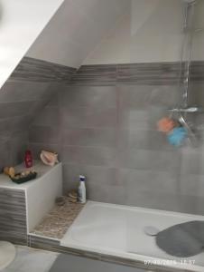bagno con doccia e vasca bianca di Les chambres de Florence a Saint-Jouan-de-lʼIsle