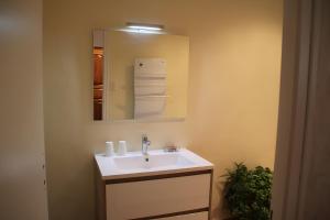 a bathroom with a sink and a mirror at Le Mas Des Glycines in Les Vignères +15 photos