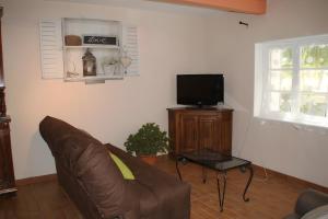 a living room with a couch and a television at Le Mas Des Glycines in Les Vignères